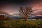 Oberersee - Staffelsee