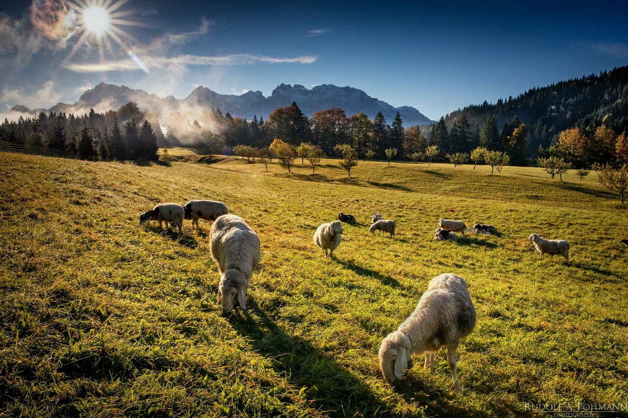 CL_RP_L5112-HDR-Bearbeitet.jpg