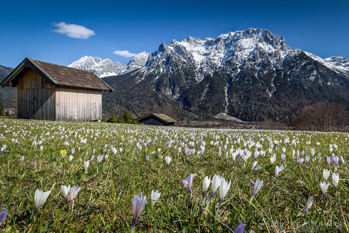 CL-02 2021-04-04 19-11-49 (B,Radius8,Smoothing4)15 2