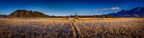 CL-L2 20220205-RUPO5752-Pano