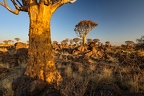 Kalahari -Keetmansshop - Namibia