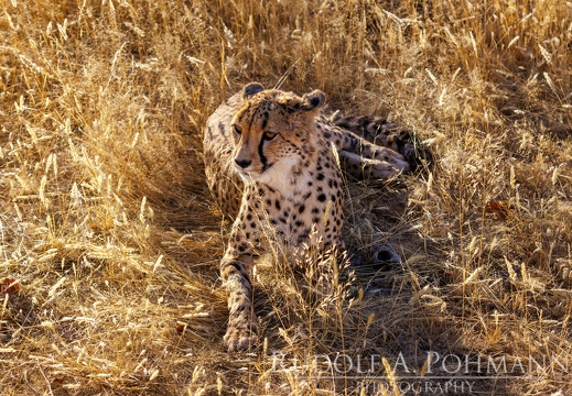 Namibia
