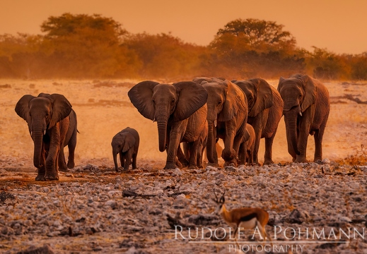 Namibia