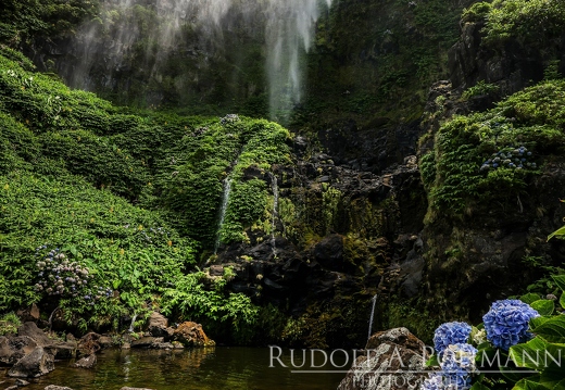 CL-RP-2-20230802-RUPO8646-1041