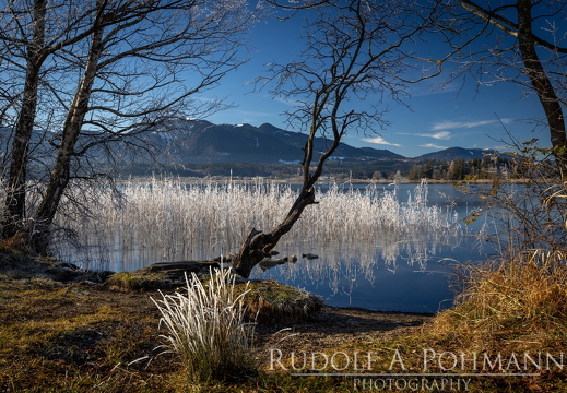 Raureif Uffing und Staffelsee