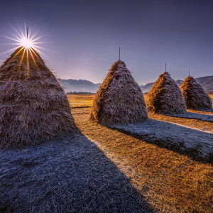 Winterliches Murnauer Moos 2024