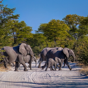 Namibia-Botswand 2025