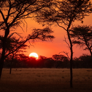 Namibia-Botswand 2025