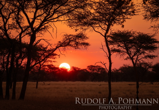 Namibia-Botswand 2025