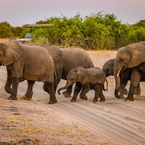 Namibia-Botswand 2025