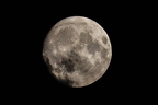 CL-RP2 0535-1